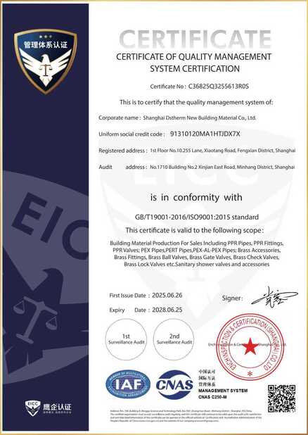 چین DSTHERM INDUSTRIAL LIMITED گواهینامه ها